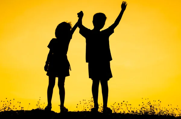 Sibling Memory 2